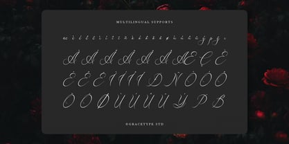 Avilantery Font Poster 11