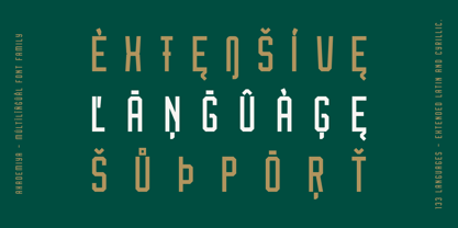 Akademiya Font Poster 6