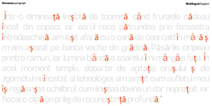 Archa Manic Font Poster 10