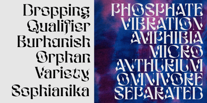 Bophera Font Poster 10