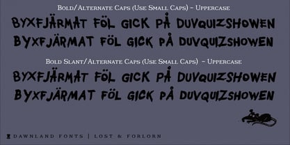 Lost & Forlorn Font Poster 3