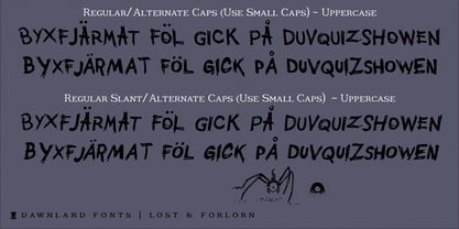 Lost & Forlorn Font Poster 2