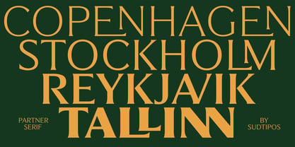 Partner Font Poster 8