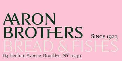 Partner Font Poster 6