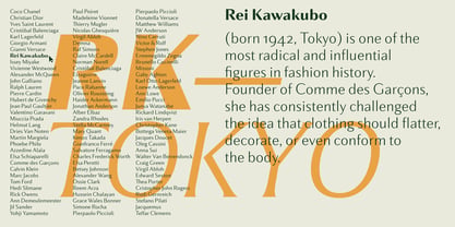 Partner Font Poster 11
