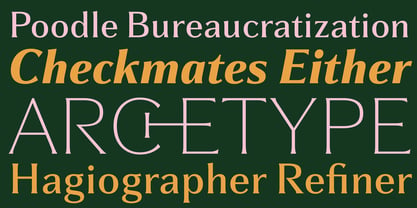 Partner Font Poster 4