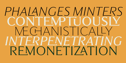 Partner Font Poster 10
