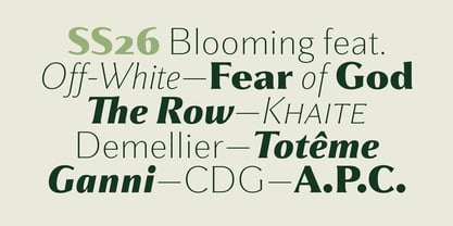 Partner Font Poster 2