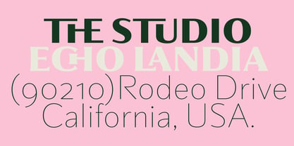 Partner Font Poster 5