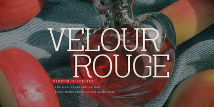 Redorus Font Poster 5