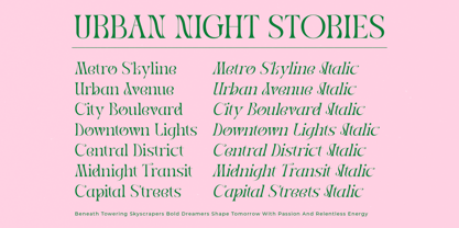 Midnight Company Font Poster 6