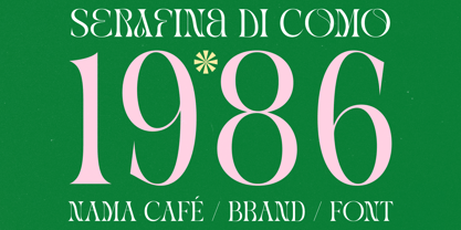 Midnight Company Font Poster 13