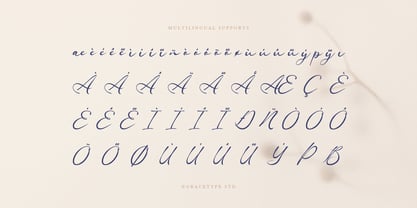 Ranuficah Font Poster 11