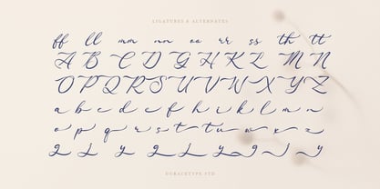 Ranuficah Font Poster 12