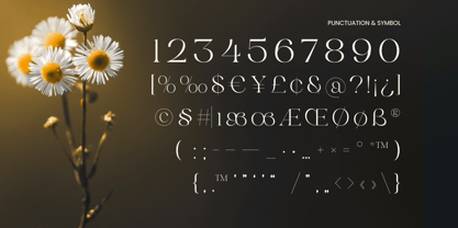 Rosena Font Poster 11