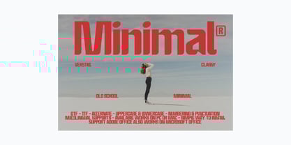 Bashful Condensed Font Poster 6