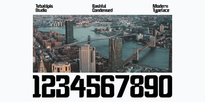 Bashful Condensed Font Poster 9