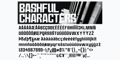 Bashful Condensed Font Poster 4