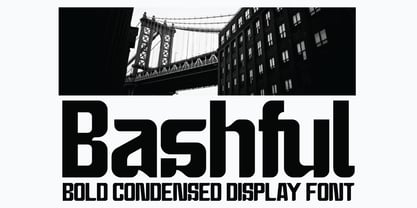 Bashful Condensed Font Poster 1