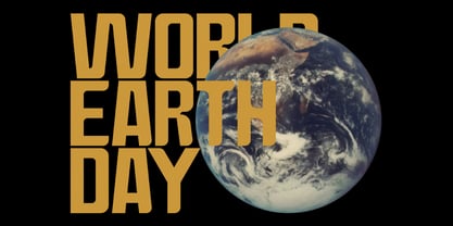 Bashful Condensed Font Poster 7