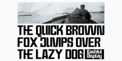 Bashful Condensed Font Poster 10