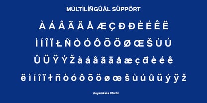 Vagnola Font Poster 10