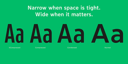 Limit Text Variable Concept Font Poster 4
