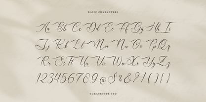 Mallsreya Font Poster 10