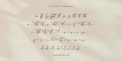 Mallsreya Font Poster 12