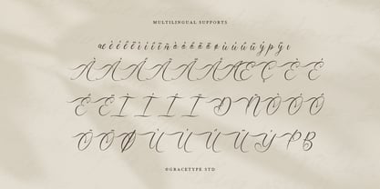 Mallsreya Font Poster 11