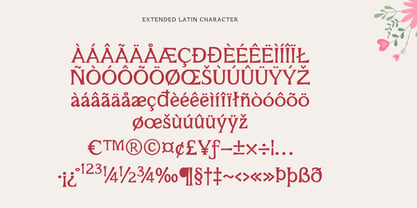 Mirhane Font Poster 13
