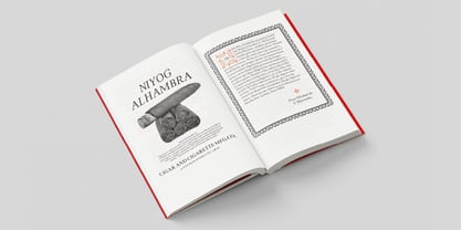 Ioannem Font Poster 6