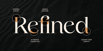 Galante Font Poster 11
