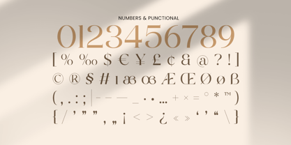 Galante Font Poster 13
