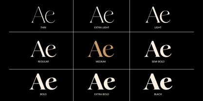 Galante Font Poster 12