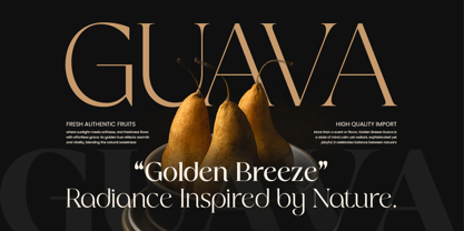 Galante Font Poster 6