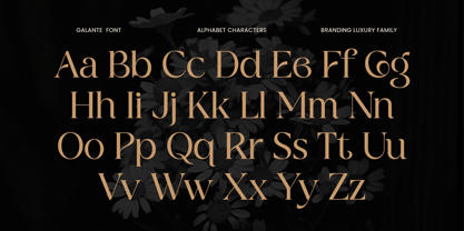 Galante Font Poster 14