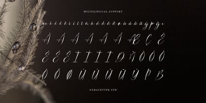 Dialmeray Font Poster 11