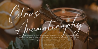 Dialmeray Font Poster 2