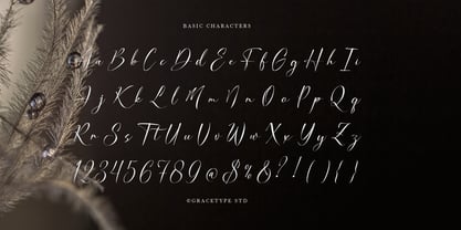 Dialmeray Font Poster 10