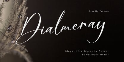 Dialmeray Font Poster 1