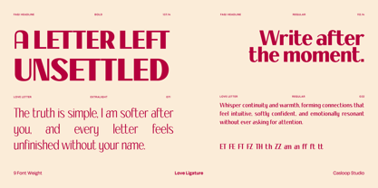 Fhagi Font Poster 5
