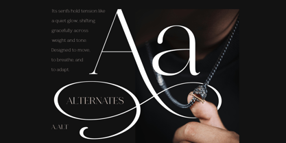 Novalux Font Poster 7