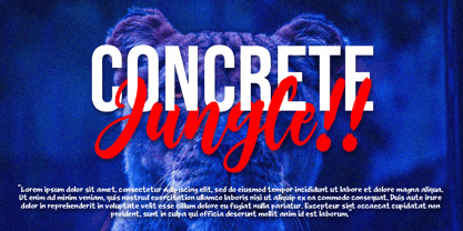 Badger Criminal Font Poster 6