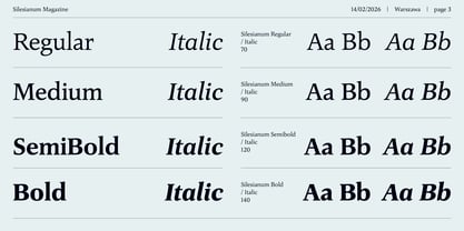 Silesianum Font Poster 3