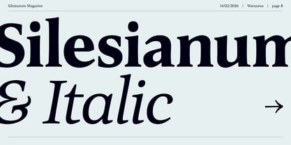 Silesianum Font Poster 8