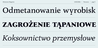 Silesianum Font Poster 5