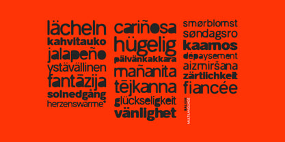 Balium Blur Font Poster 9