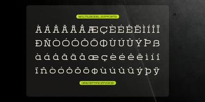 Domesia Font Poster 11