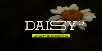 Domesia Font Poster 3